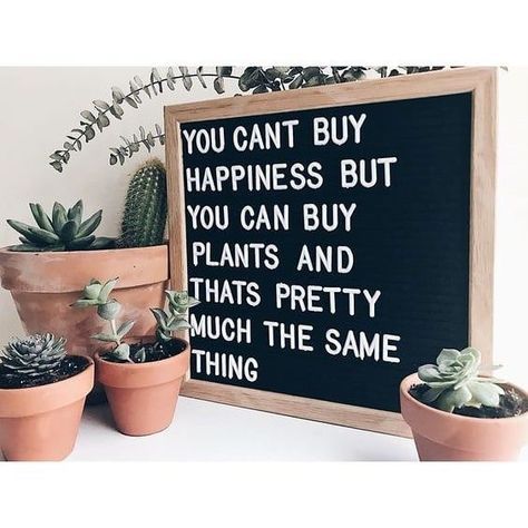 You can't buy happiness, but you can buy plants and that's pretty much the same thing
